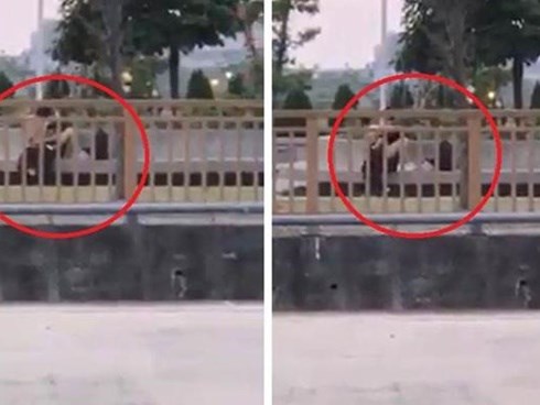 Cặp đôi vô tư 'ân ái' trên vỉa hè, dùng tấm áo mỏng che phần dưới vẫn bị lên án