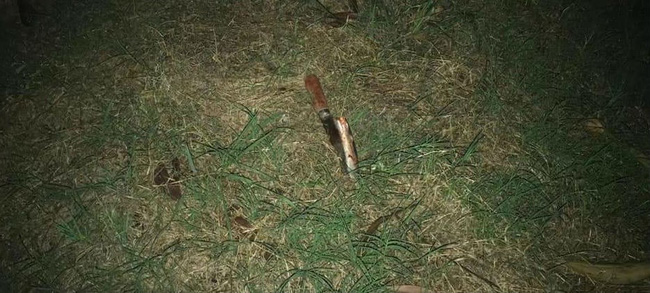 Nghi vấn nam thanh niên truy sát bạn gái giữa đường rồi uống thuốc diệt cỏ tự vẫn-2