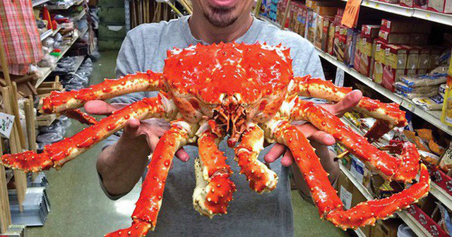 Cua hoàng đế Alaska bán nguyên con tràn lan ở Việt Nam rẻ như ở Mỹ-1