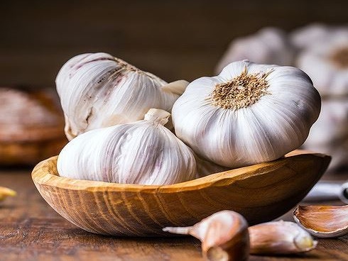 Tỏi mọc mầm: Thần dược cho sức khoẻ hay thuốc độc?-4