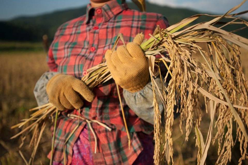 Câu chuyện xúc động của Tiến sĩ trẻ: Nếu nghèo đói là trường đại học tốt nhất, thì người mẹ nông dân của tôi chính là người thầy giáo giỏi nhất của đời tôi-3