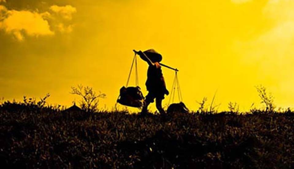 Câu chuyện xúc động của Tiến sĩ trẻ: Nếu nghèo đói là trường đại học tốt nhất, thì người mẹ nông dân của tôi chính là người thầy giáo giỏi nhất của đời tôi-4