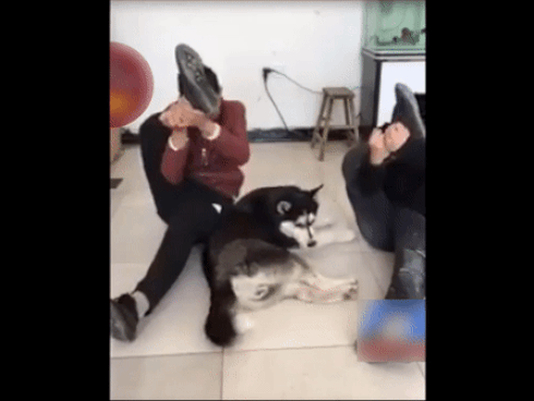 Có mỗi thế thôi mà cũng không làm được!