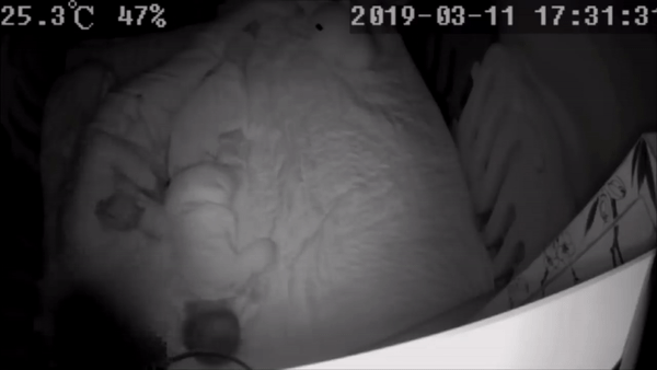 Clip 6 phút ghi cảnh bảo mẫu bạo hành bé 14 tháng tuổi gây phẫn nộ-3