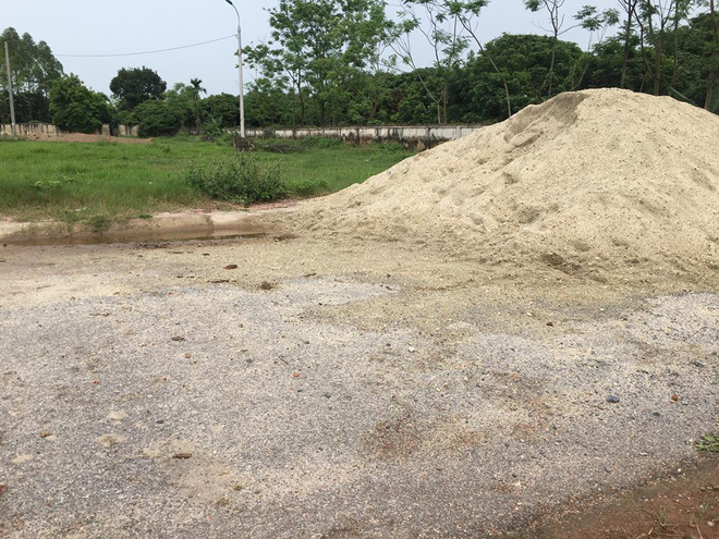 Người phụ nữ giải cứu bé trai bị gần 10 con chó lao vào cắn tử vong: Cháu chỉ nói được tên bố mẹ rồi ngất lịm đi-4