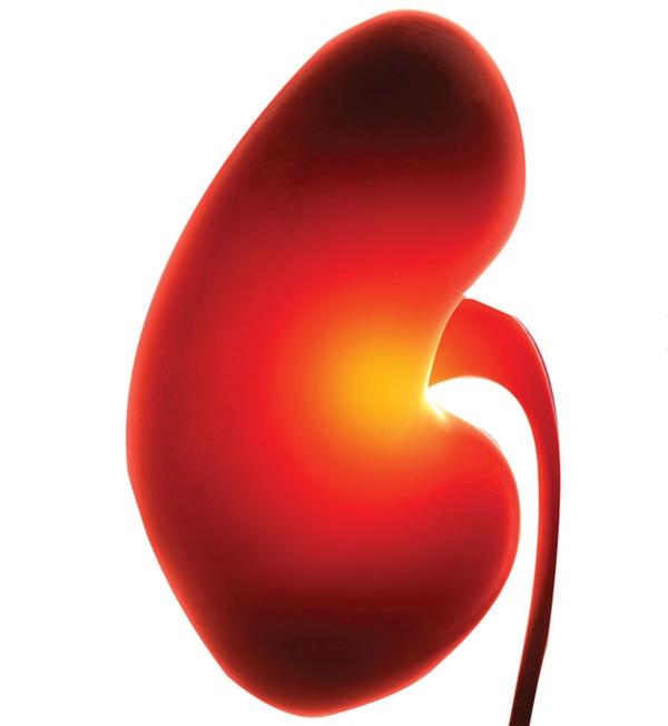 Ở mắt và chân tay có những dấu hiệu này, bạn nên đi kiểm tra xem thận có bị suy yếu không?-1