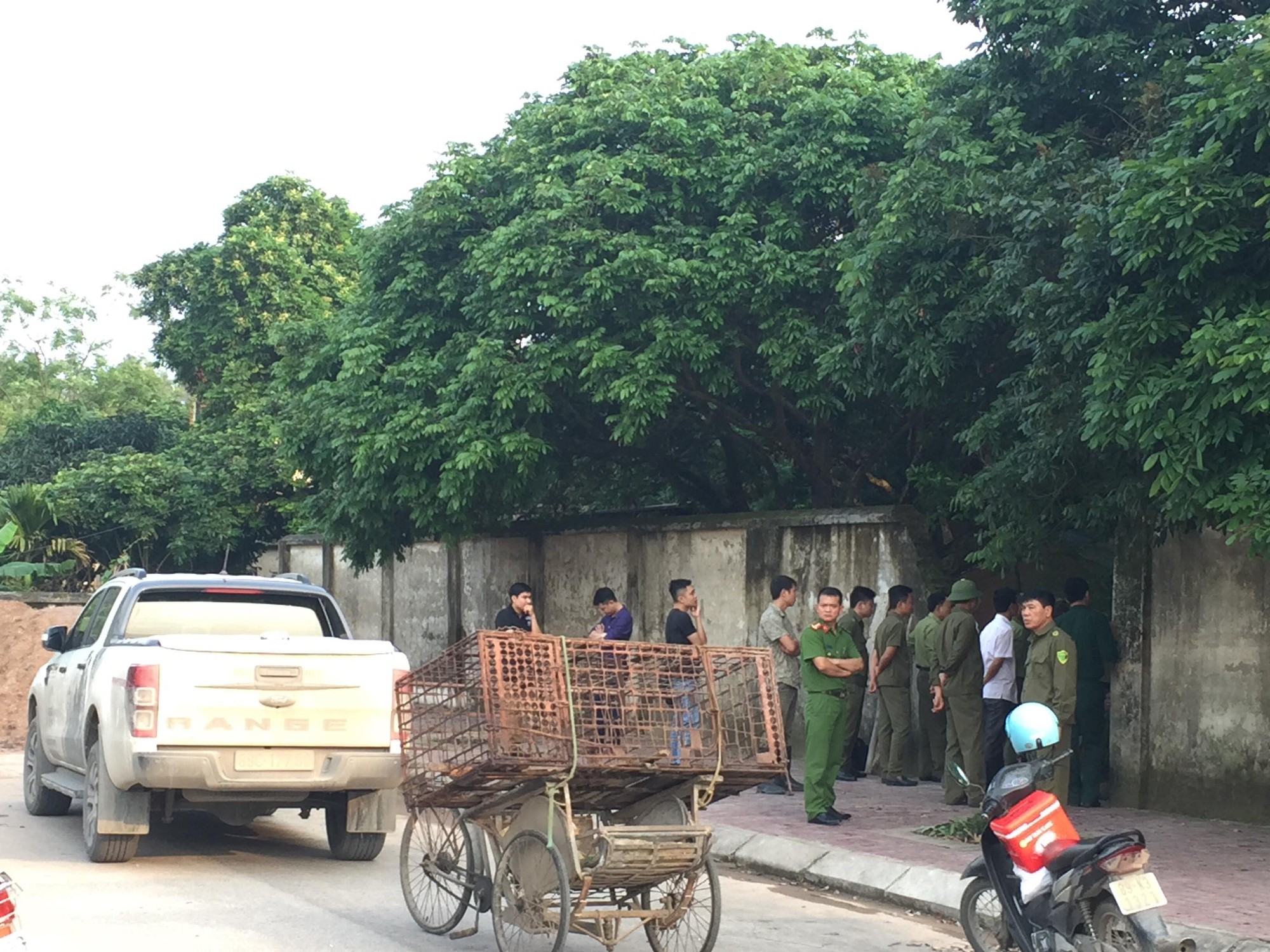 Công an bắt giữ đàn chó cắn tử vong bé trai 7 tuổi ở Hưng Yên-1