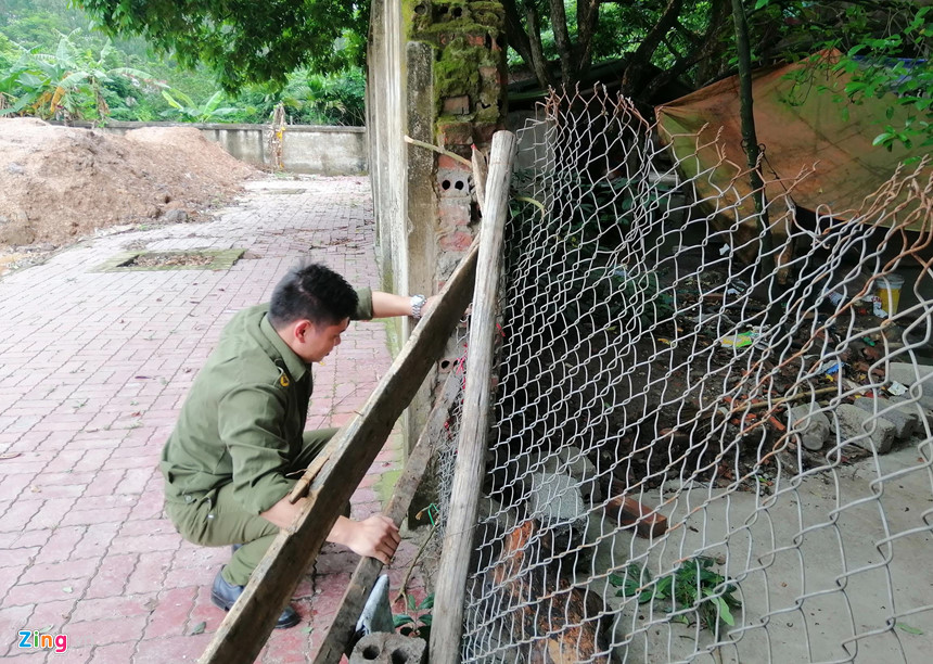 Đàn chó hung dữ như chó sói, cắn cháu bé mặc người can ngăn-2