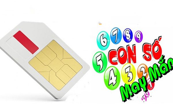 Cứ chọn đúng số đuôi điện thoại hợp tuổi, 12 con giáp sẽ HƯỞNG NO TÀI LỘC, phất lên như diều gặp gió-1