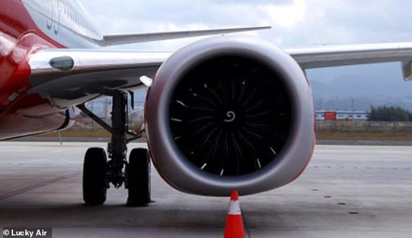 Kiểm tra camera an ninh trên máy bay, cảnh sát lập tức bắt giữ hành khách có hành động mê tín gây nguy hiểm tính mạng của hàng trăm người-7