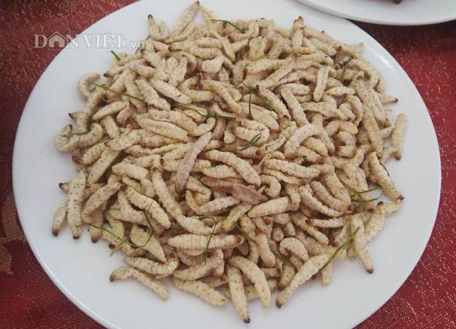 Bộ tứ: Nhất đắng - nhì hôi - tam ghê - tứ gớm đặc sản dị nhất xứ Mường-5