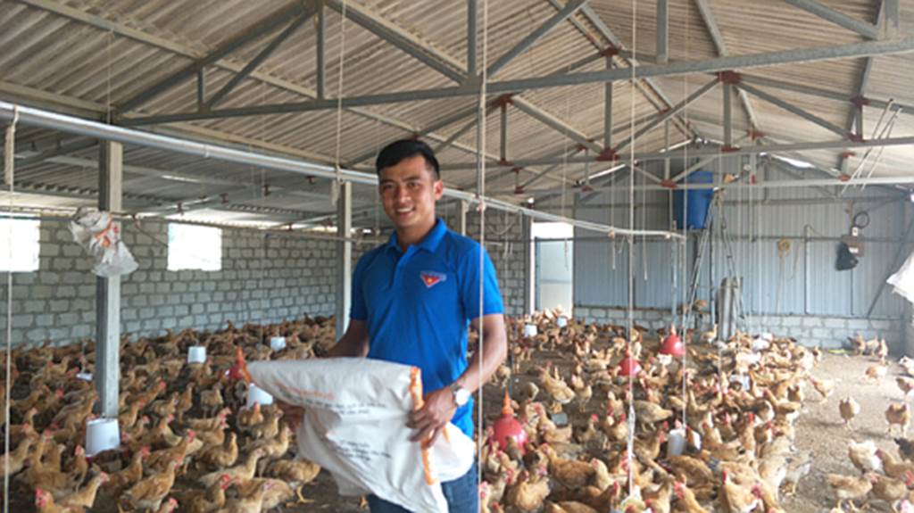 9X thôi lang thang về làng nuôi bạt ngàn gà trên cát, lãi 25 triệu/tháng-1