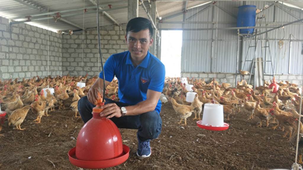 9X thôi lang thang về làng nuôi bạt ngàn gà trên cát, lãi 25 triệu/tháng-4