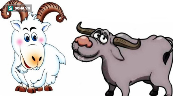 3 cặp con giáp TƯƠNG XUNG, lấy nhau KHÓ ẤM ÊM, gia đạo lục đục, CỦA CẢI tiêu tán-1