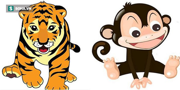 3 cặp con giáp TƯƠNG XUNG, lấy nhau KHÓ ẤM ÊM, gia đạo lục đục, CỦA CẢI tiêu tán-3