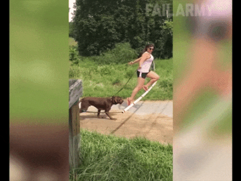 Bị chó cắn, nam sinh chế tạo thiết bị đuổi chó cực kỳ hiệu quả-1