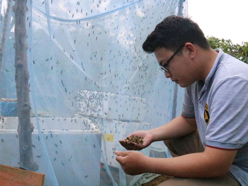 Làm giàu ở nông thôn: Nuôi thỏ bắt ăn kham khổ, bán đắt như tôm tươi-5