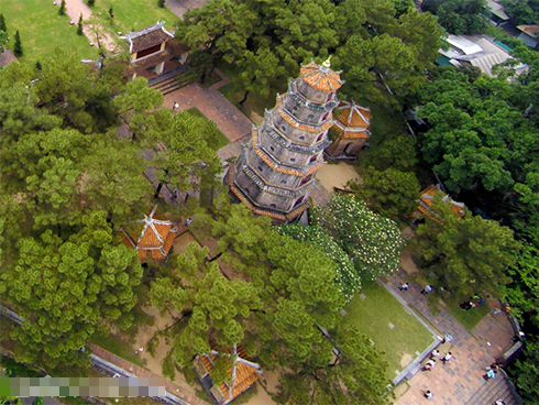 Tất bật hái dâu, nông dân kiếm chục triệu 1 tháng-10