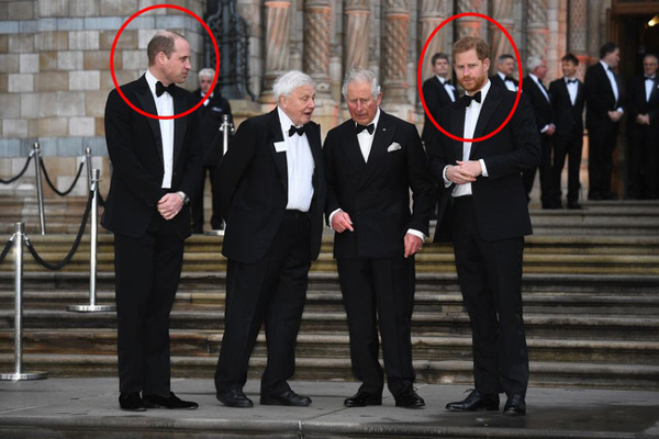 Hoàng tử William và Harry lộ bằng chứng rạn nứt, xa cách nhau, người dính nghi án ngoại tình, người thì mang tiếng sợ vợ-1