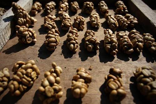 6 đặc sản làm từ chất thải: Không đủ gan đố dám thưởng thức-2