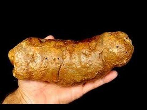 6 đặc sản làm từ chất thải: Không đủ gan đố dám thưởng thức-3