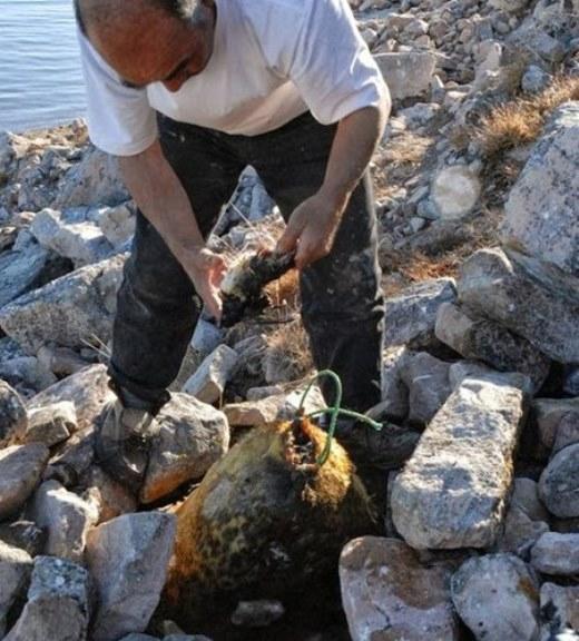 6 đặc sản làm từ chất thải: Không đủ gan đố dám thưởng thức-10