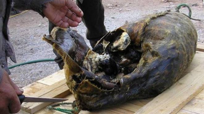 6 đặc sản làm từ chất thải: Không đủ gan đố dám thưởng thức-9