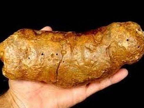 6 đặc sản làm từ chất thải: Không đủ gan đố dám thưởng thức