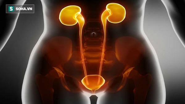 Nam giới làm đủ 4 việc này trước khi ngủ: Không chỉ chăm sóc thận tốt, mà còn khỏe mạnh-1