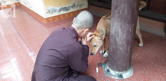 Sự thật những đứa trẻ cần được giải thoát vì bị sư trụ trì hành hạ, đánh đập mỗi tối ở Hà Nội-5