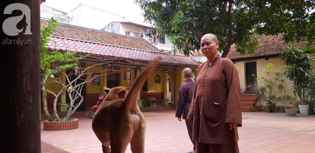 Sự thật những đứa trẻ cần được giải thoát vì bị sư trụ trì hành hạ, đánh đập mỗi tối ở Hà Nội-6