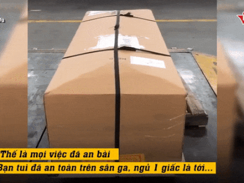 Linh cữu nghệ sĩ Anh Vũ về đến chùa, người dân vây kín bên đường-1