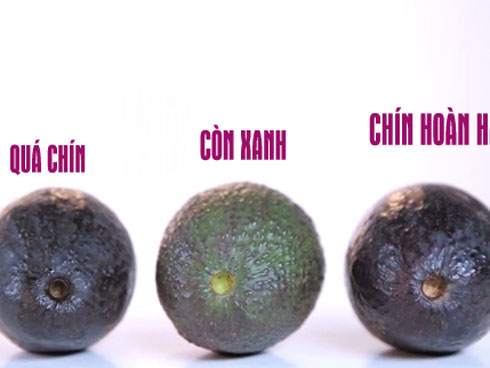 4 sai lầm khi cho con ăn bơ: 10 người 9 người mắc khiến bơ mất dinh dưỡng, bé rước bệnh mà không biết-2