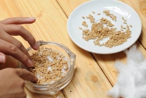 Ăn những loại quả này tuyệt đối đừng vứt hạt đi, làm theo cách này bạn sẽ vô cùng sửng sốt-7