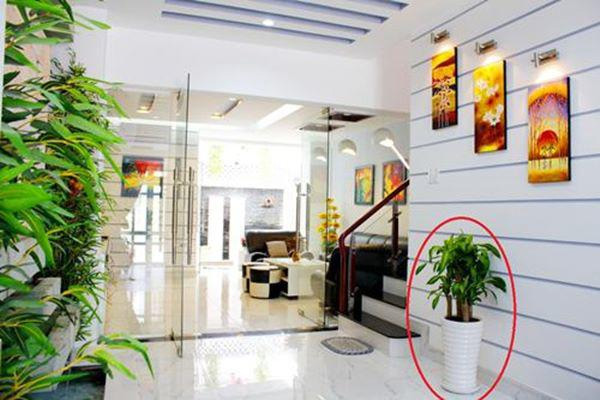 8 bí quyết phong thủy khiến gia đình bạn ngày càng giàu có, thịnh vượng, tiền bạc rủng rỉnh tiêu hoài không hết-1