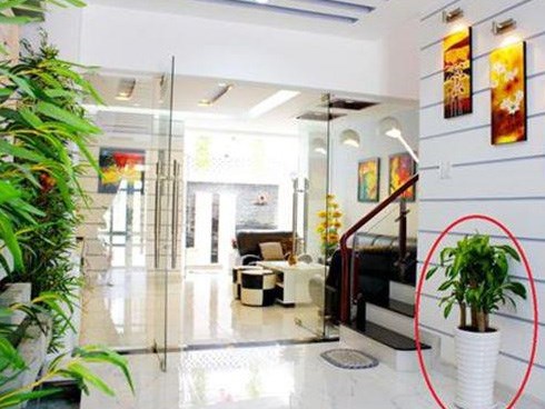 8 bí quyết phong thủy khiến gia đình bạn ngày càng giàu có, thịnh vượng, tiền bạc rủng rỉnh tiêu hoài không hết