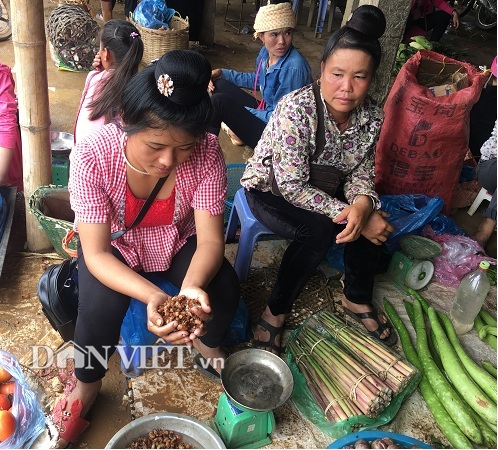 Con đặc sản inh tai nhức óc lại khiến cánh mày râu rớt nước miếng-2