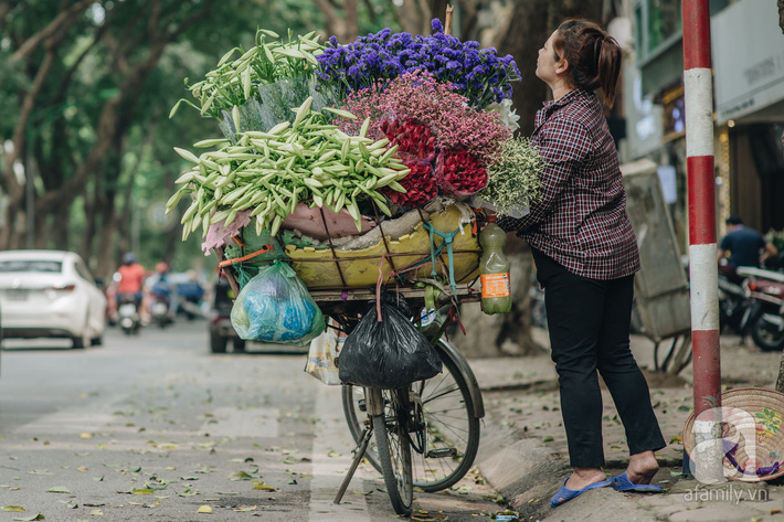 Tháng 4 về, Hà Nội lại dịu dàng những gánh loa kèn trắng tinh khôi, thơm nồng nàn khắp các góc phố-10