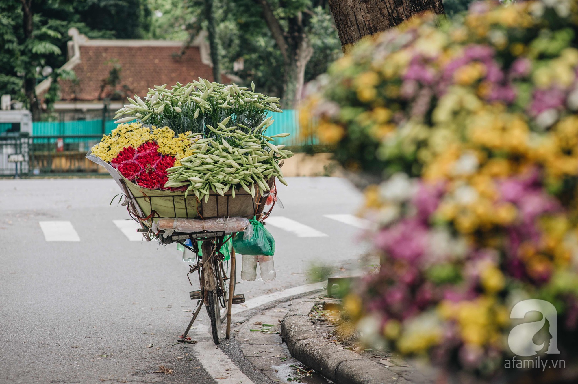 Tháng 4 về, Hà Nội lại dịu dàng những gánh loa kèn trắng tinh khôi, thơm nồng nàn khắp các góc phố-4