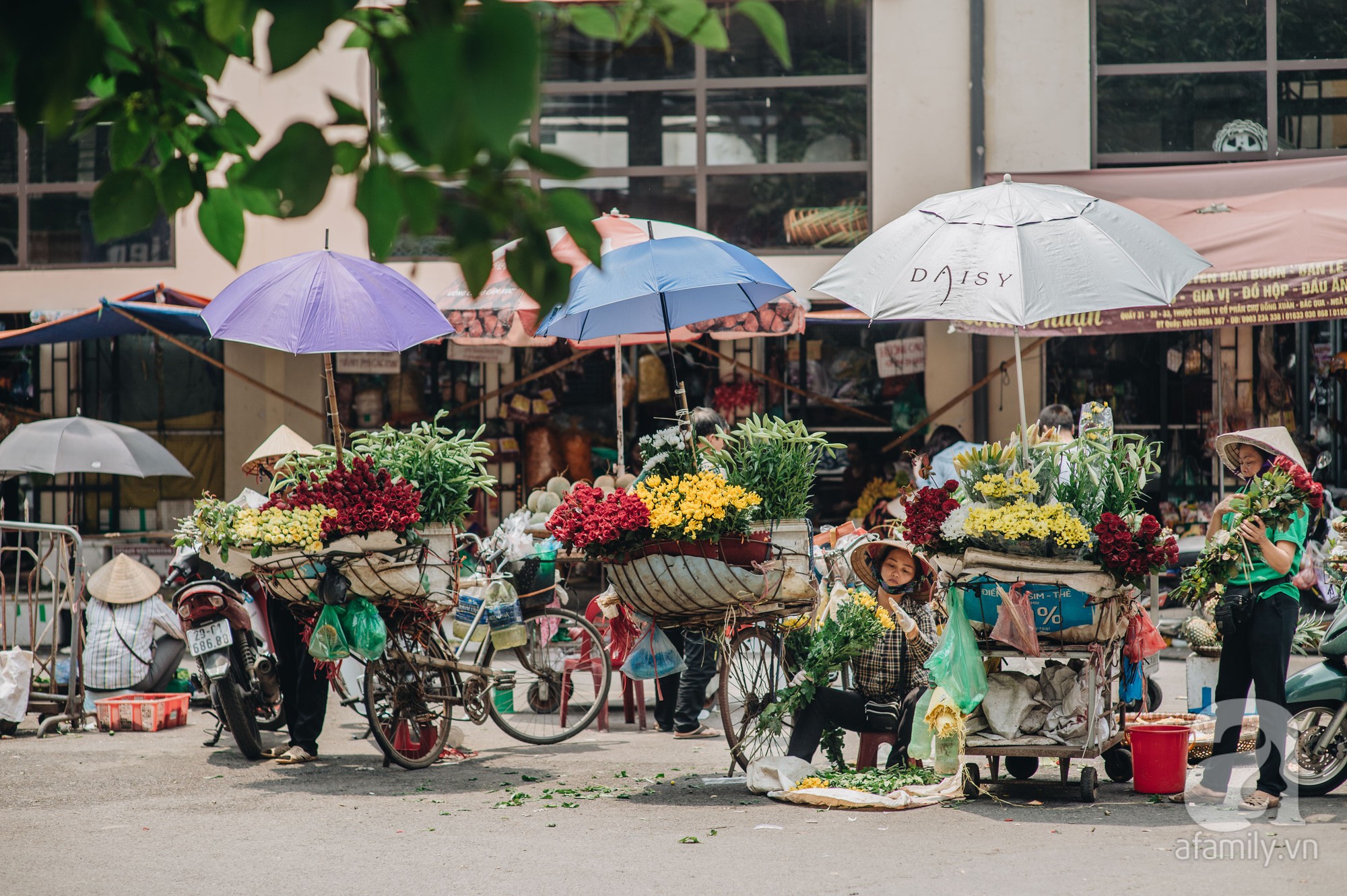 Tháng 4 về, Hà Nội lại dịu dàng những gánh loa kèn trắng tinh khôi, thơm nồng nàn khắp các góc phố-6