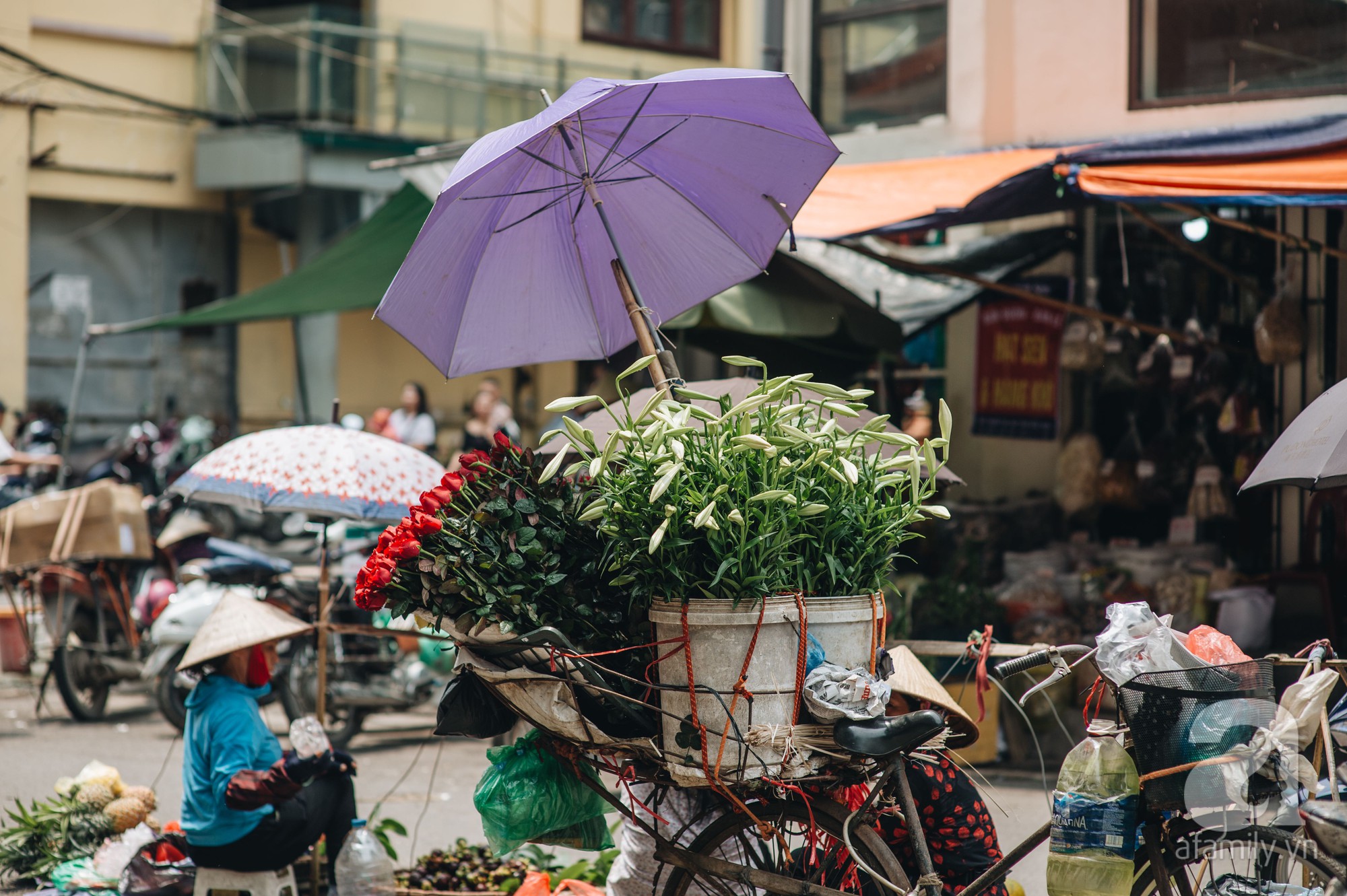 Tháng 4 về, Hà Nội lại dịu dàng những gánh loa kèn trắng tinh khôi, thơm nồng nàn khắp các góc phố-7
