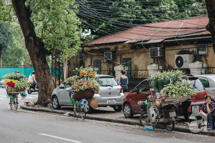 Tháng 4 về, Hà Nội lại dịu dàng những gánh loa kèn trắng tinh khôi, thơm nồng nàn khắp các góc phố-8