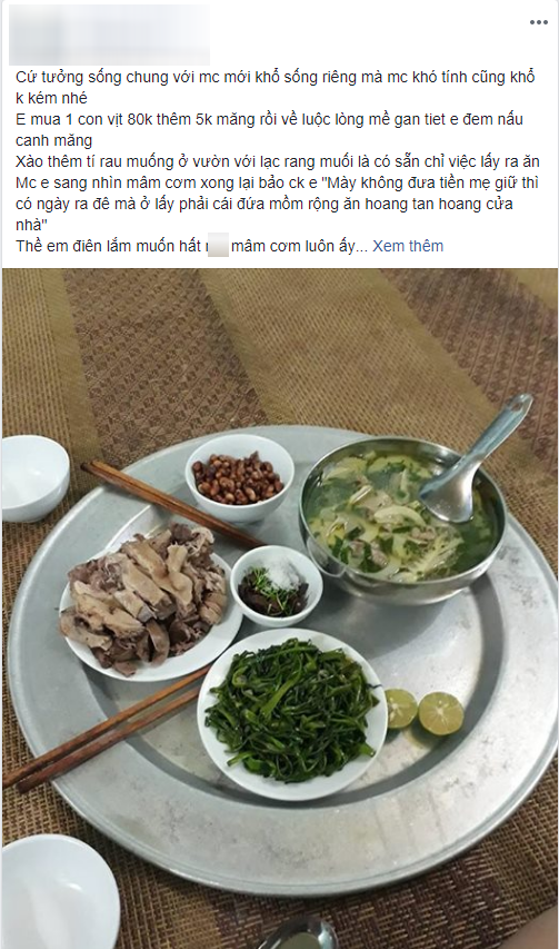 Vì mâm cơm 85k mà bị mẹ chồng mắng Mồm rộng ăn hoang”, nàng dâu có cách đáp trả khiến chị em rào rào ủng hộ-1