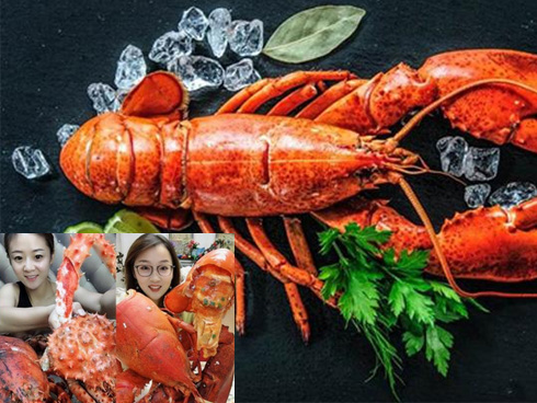 Hí hửng mua 10kg tôm hùm, vợ đảm giúp chồng rửa tôm bằng máy giặt và cái kết cay đắng khiến chồng khóc không dám khóc, giận không dám giận-4