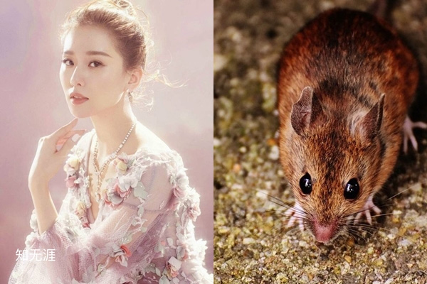 5 ngày tới: 3 con giáp liên tục trúng độc đắc, phúc lộc đầy nhà, tiền cứ vơi lại đầy-2