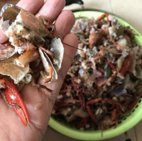 Hí hửng mua 10kg tôm hùm, vợ đảm giúp chồng rửa tôm bằng máy giặt và cái kết cay đắng khiến chồng khóc không dám khóc, giận không dám giận-2