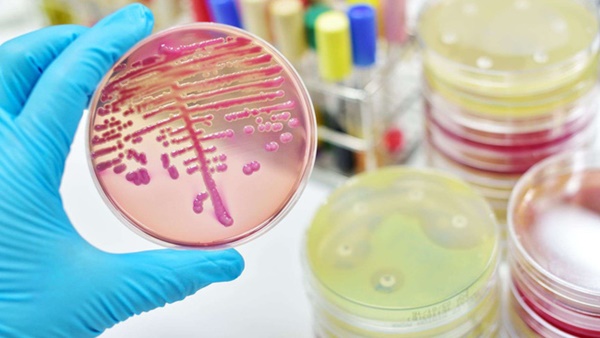 Cảnh báo: Siêu vi khuẩn nấm gây chết người đang lan truyền chóng mặt khắp toàn cầu-2