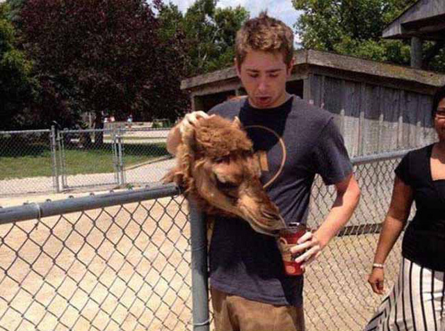 Những bức hình kỳ lạ không Photoshop nhưng vẫn khiến người ta không hiểu chuyện gì đây-13