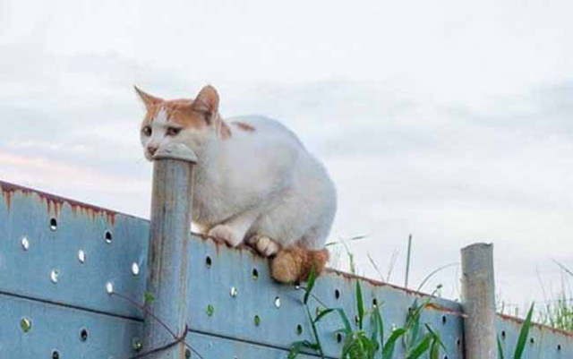 Những bức hình kỳ lạ không Photoshop nhưng vẫn khiến người ta không hiểu chuyện gì đây-22