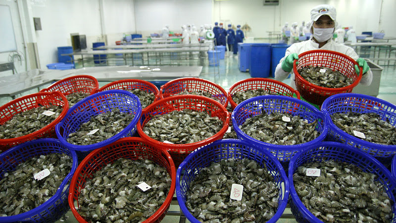 Hàng dính độc: Bên Tây cấm cửa trả về, dân xứ ta ăn an toàn-1